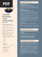 Hossue Edgardo Ceja Cartagena CV