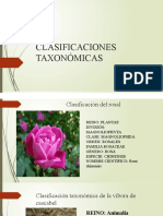 Clasificaciones Taxonómicas