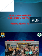 SINDANGJAWA Tugas MP, P1