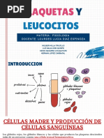 Expo PLAQUETAS - LEUCOCITOS