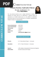 Yohana Karina Andrades Falcon: Urriculum Vitae