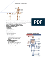 GENBIOSkeletal System 92022