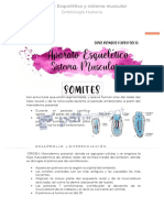 Aparato Esqueletico y Sistema Muscular - Compress