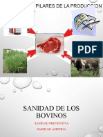 SANIDAD