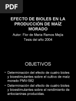 Ae.b.te - Efecto de Bioles en La Producción de Maíz