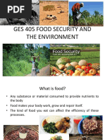 Ges405 Food Security Notes