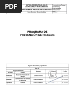 Programa Prevencion de Riesgos