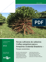 Novas Cultivares de Cafeeiros Coffea Canephora para Amazonia Ocidental Brasileira