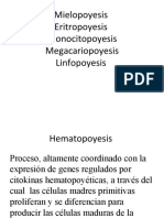 Hematopoyesis