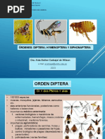 Clase 14 Diptera, Hym. y Siphonaptera2023