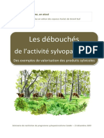 4-Les Débouchés de L'activité Sylvopastorale