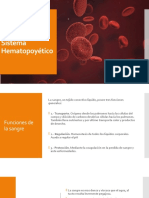 Sistema Hematopoyético