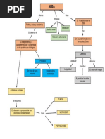 ALBA Mapa Conceptual