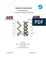 Acidos Nucleicos