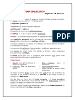 T2. Resumen Sistema Esqueletico, Articulaciones y Casos Clinicos