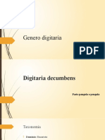 Genero Digitaría