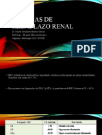 Terapia de Reemplazo Renal - Cientifica