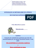 Introdução Ao Metabolismo de Lipídeos Completa