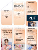 Leaflet Pneumonia