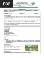 Plan de Clases Ciencias Naturales. Artistica y Edu Fisica 20222 Grado Primero