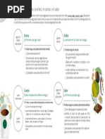 Estandares Generales de Calidad de Bebidas Calientes 2