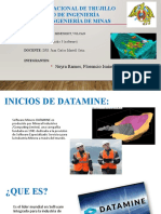 Software Datamine Diaposotivas