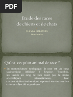 Etude Des Races