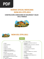 Curso Nom 031