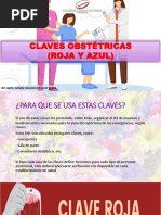 Claves Obstetricas (Roja y Azul)