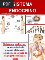 10 Sistema Endocrino