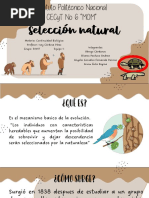 Selección Natural