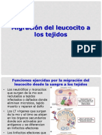 Moleculas de Adhesion-2