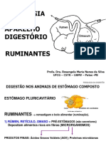 Fisiologia - 4 - Digestório - Digestão em Ruminantes - 2021.2