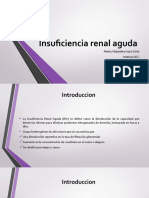 Insuficiencia Renal Aguda