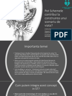 CristinaSterie Scheme Si Scenariu 1