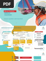 Inducción Sso - Módulo Seguridad