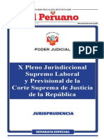 X Pleno Jurisdiccional Supremo Laboral y Previsional