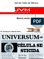 Muerte Celular UVM