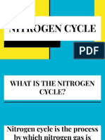 Nitrogen Cycle (Grade 10)