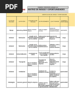 Matriz de Riesgos y Oportunidades