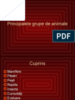 Principalele Grupe de Animale