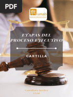 Cartilla Proceso Ejecutivo