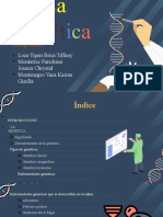 Diapositivas Introduccion