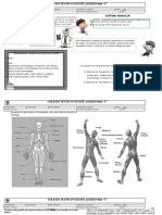 Guia Sistema Oseo y Muscular