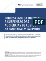 Relatório de Audiência de Custódia Na Pandemia