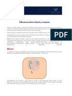 Guias Cosmetología Mitosis