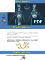 Sistema Endocrino