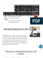 APLICACIÓN DE LA CROMATOGRAFÍA DE GASES - Grupo 7