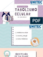 Unidad 3. Metabolismo Celular