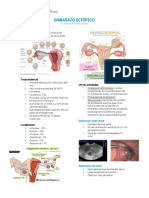 Embarazo Ectópico